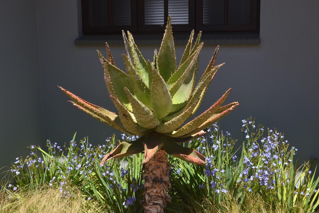 Be At Home Guesthouse Klerksdorp Exterior foto